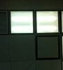 Westnest223